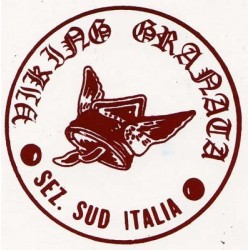 Viking torino shop