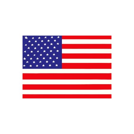 image: Bandiera Stati Uniti