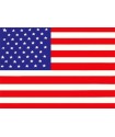 image: Bandiera Stati Uniti
