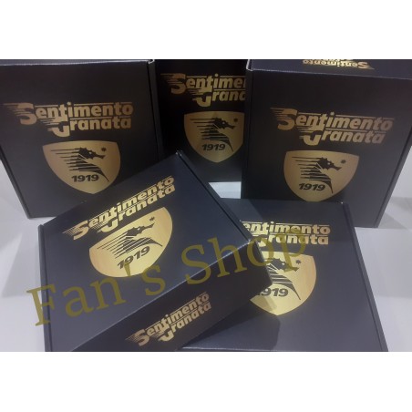 Cofanetto FULL BOX Figurine Salernitana Sentimento Granata. Cofanetto FULL BOX Figurine Salernitana Sentimento Granata.