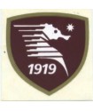 ADESIVO SALERNITANA SCUDETTO STANDARD