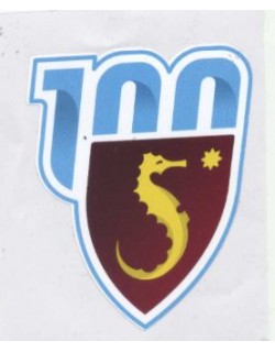 ADESIVO CENTENARIO SALERNITANA