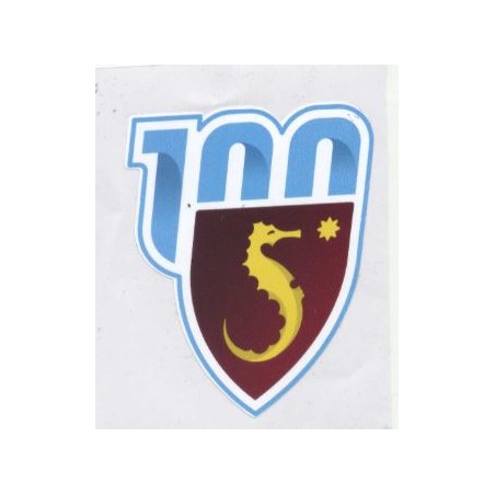 ADESIVO CENTENARIO SALERNITANA