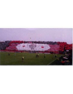 ADESIVO CREMONESE 12