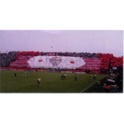 ADESIVO CREMONESE 12