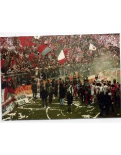 ADESIVO CREMONESE 20