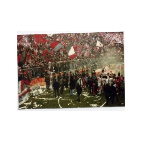 ADESIVO CREMONESE 20