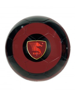 Salernitana Pallone Granata