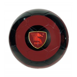 Salernitana Pallone Granata