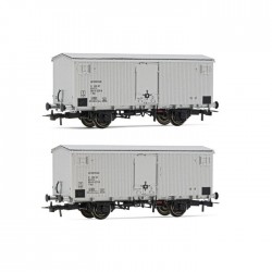 RIVAROSSI HR6563 SET 2 CARRI REFRIGERANTI A 2 ASSI TIPO IFMS CON PORTELLONE METALLICO, LIVREA ALLUMINIO, EP. IV