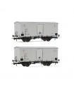 RIVAROSSI HR6563 SET 2 CARRI REFRIGERANTI A 2 ASSI TIPO IFMS CON PORTELLONE METALLICO, LIVREA ALLUMINIO, EP. IV