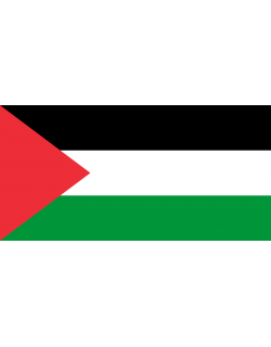 Bandiera Palestina