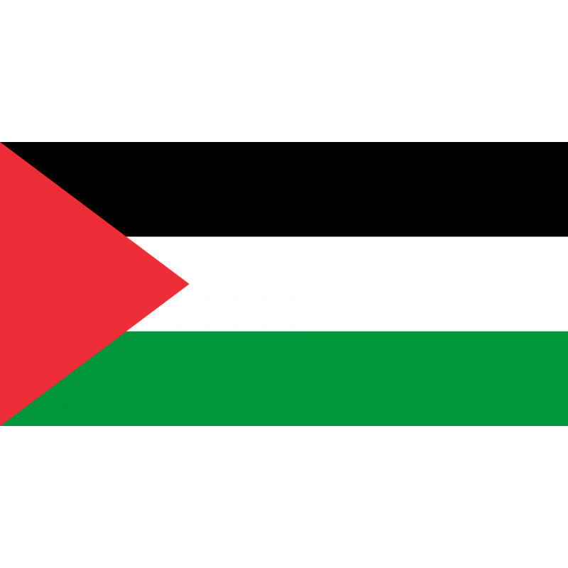 Bandiera Palestina