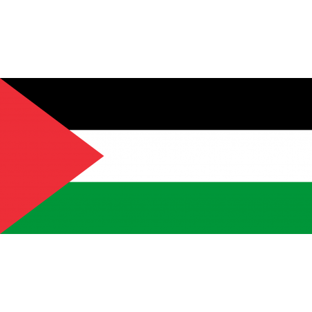 Bandiera Palestina