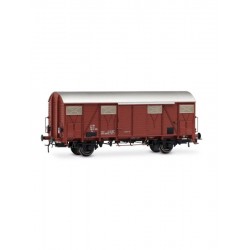 RIVAROSSI HR6696 FS SET DI 2 CARRI CHIUSI A 2 ASSI TIPO GHS CON AERATORI BASSI, UNO CON LUCI DI CODA, EP. IV