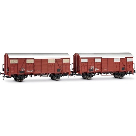RIVAROSSI HR6696 FS SET DI 2 CARRI CHIUSI A 2 ASSI TIPO GHS CON AERATORI BASSI, UNO CON LUCI DI CODA, EP. IV