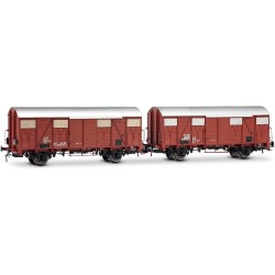 RIVAROSSI HR6696 FS SET DI 2 CARRI CHIUSI A 2 ASSI TIPO GHS CON AERATORI BASSI, UNO CON LUCI DI CODA, EP. IV