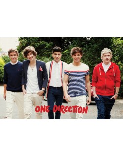 image: One Direction poster LP1590