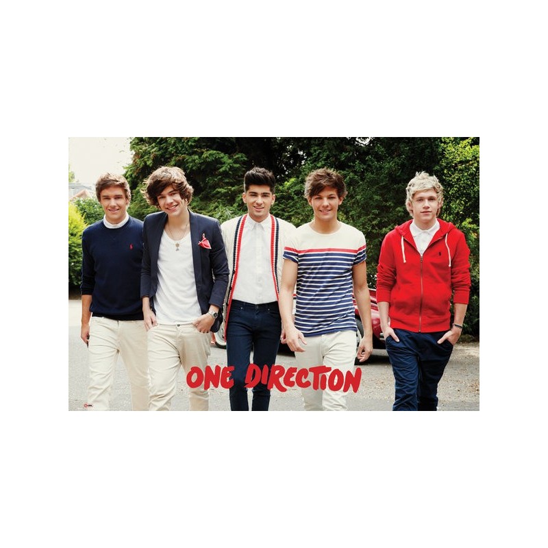 image: One Direction poster LP1590