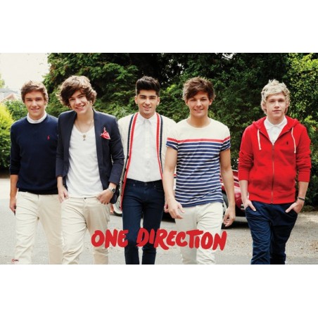 image: One Direction poster LP1590