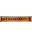 image: Sciarpa Scotland 1