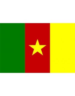 image: Bandiera Camerun