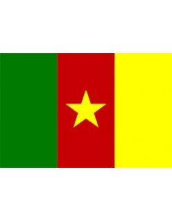 image: Bandiera Camerun