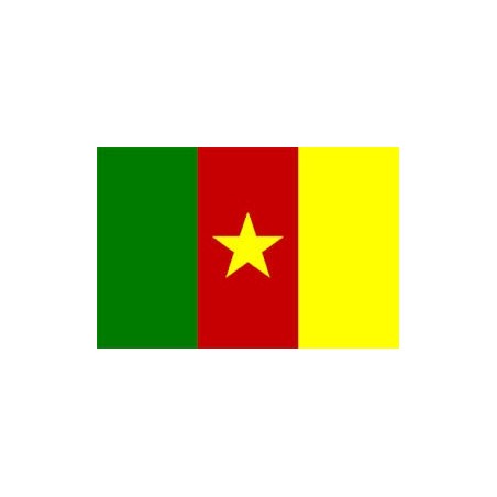 image: Bandiera Camerun