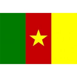 image: Bandiera Camerun