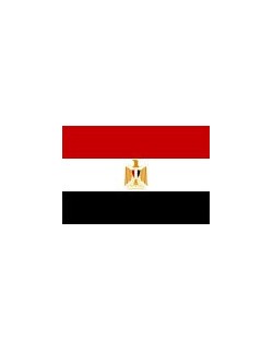 image: Bandiera Egitto