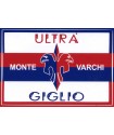 image: Adesivo Montevarchi 07